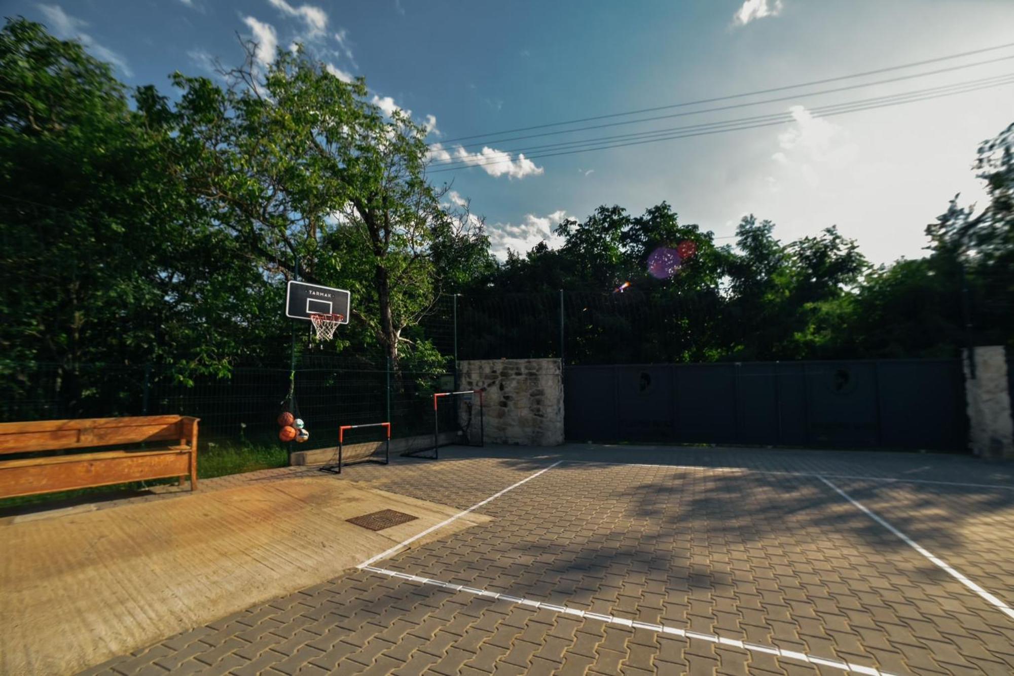 Pensiunea Casa Dacilor Podeni エクステリア 写真
