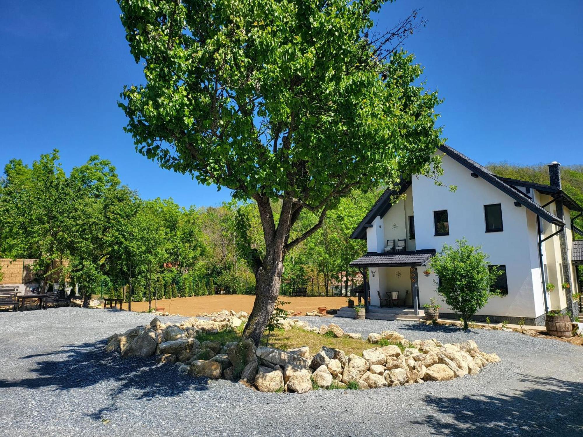 Pensiunea Casa Dacilor Podeni エクステリア 写真