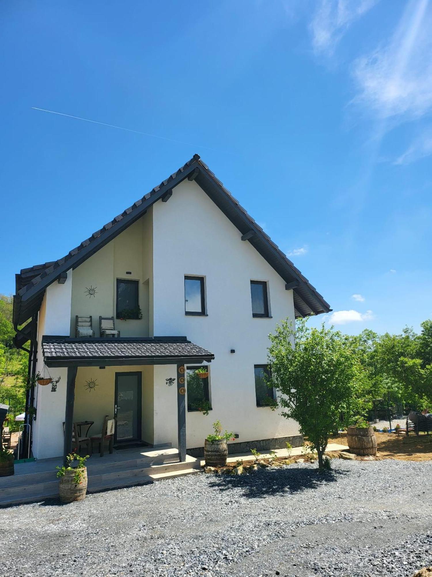 Pensiunea Casa Dacilor Podeni エクステリア 写真