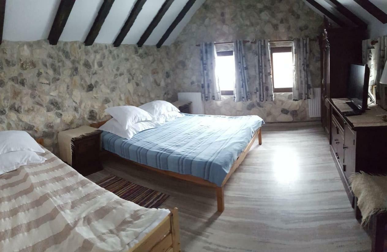 Pensiunea Casa Dacilor Podeni エクステリア 写真